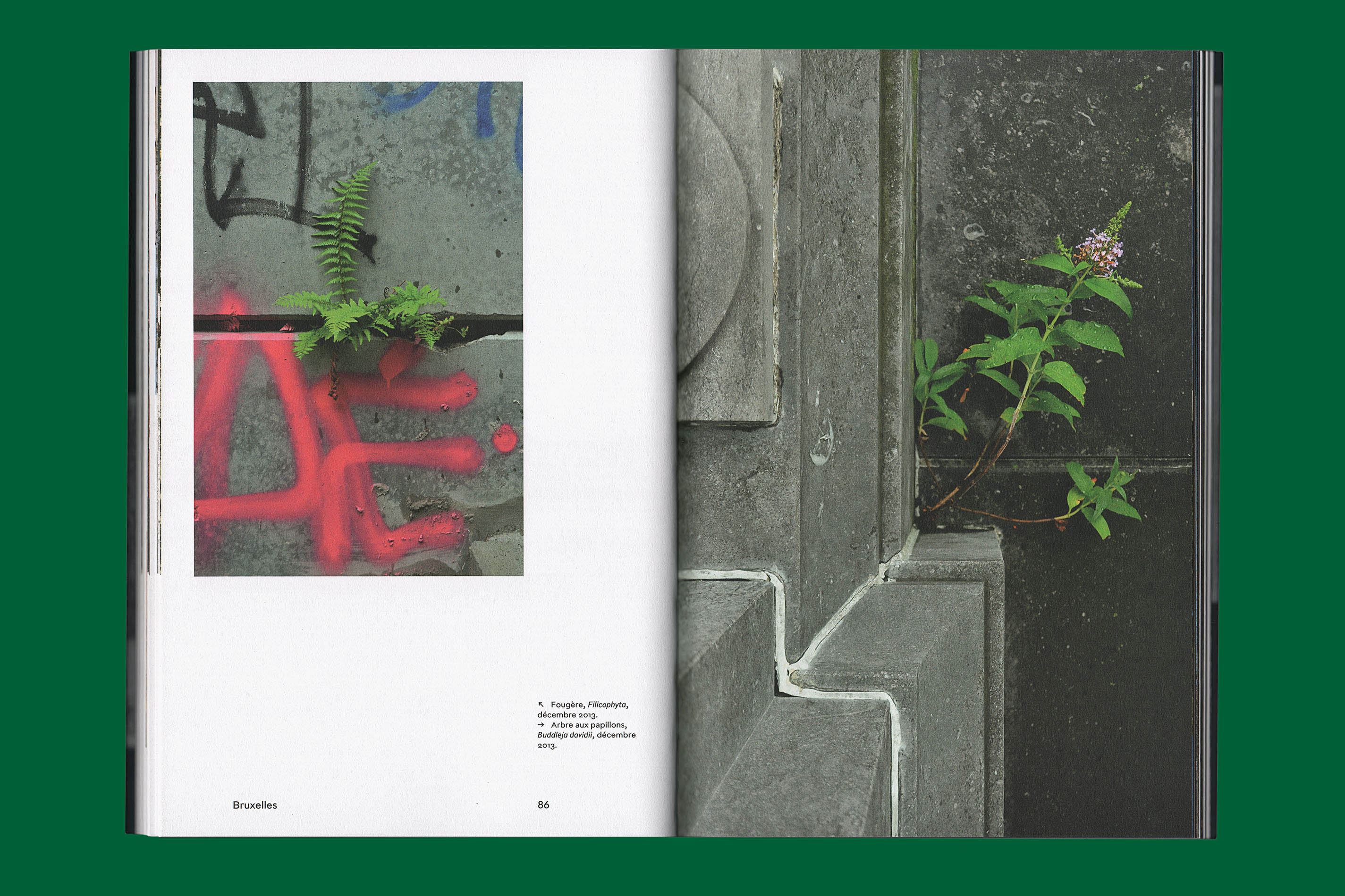 Livre de photos «Les plantes et Babylone»