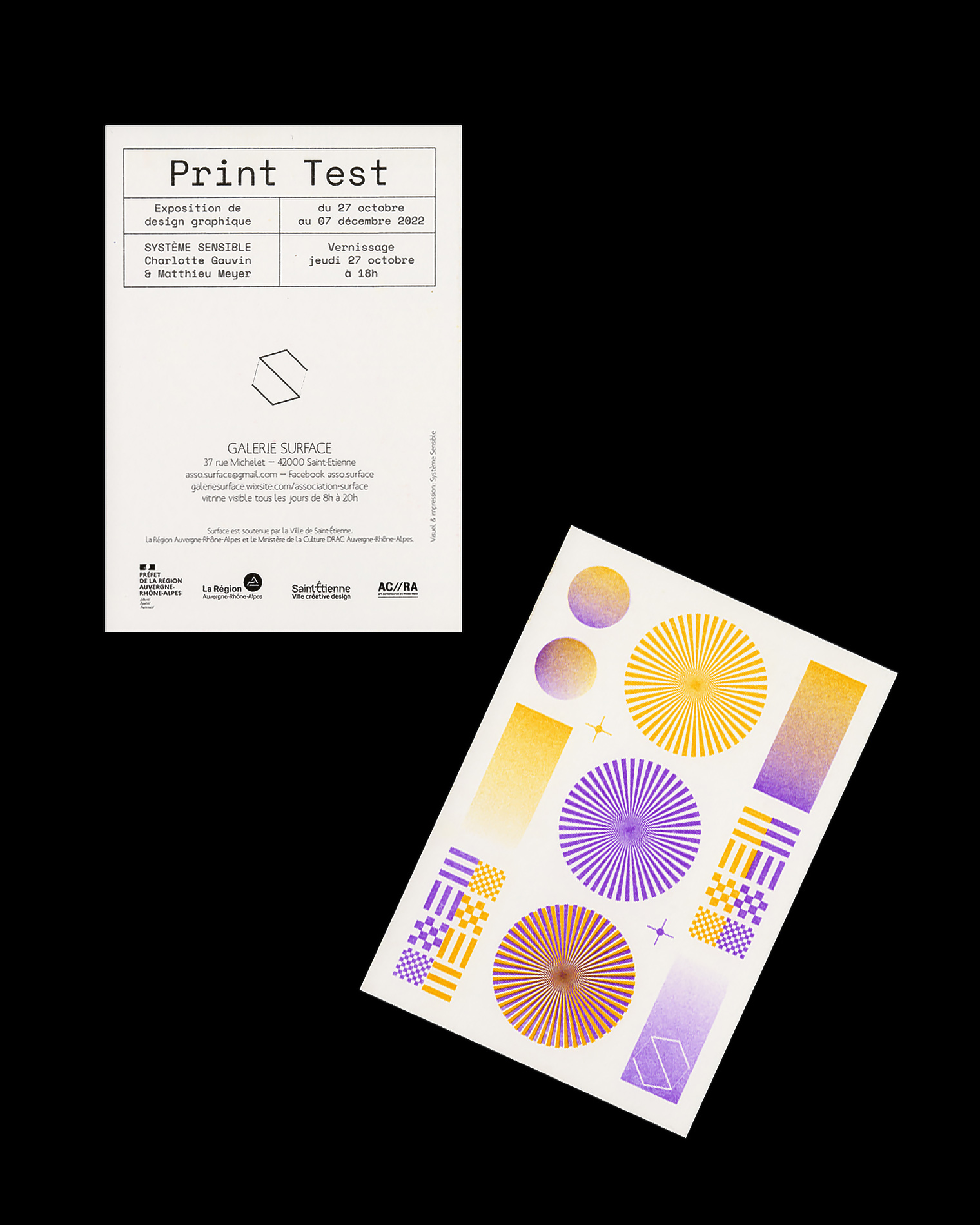 Print Test, exposition personnelle de design graphique à la Galerie Surface