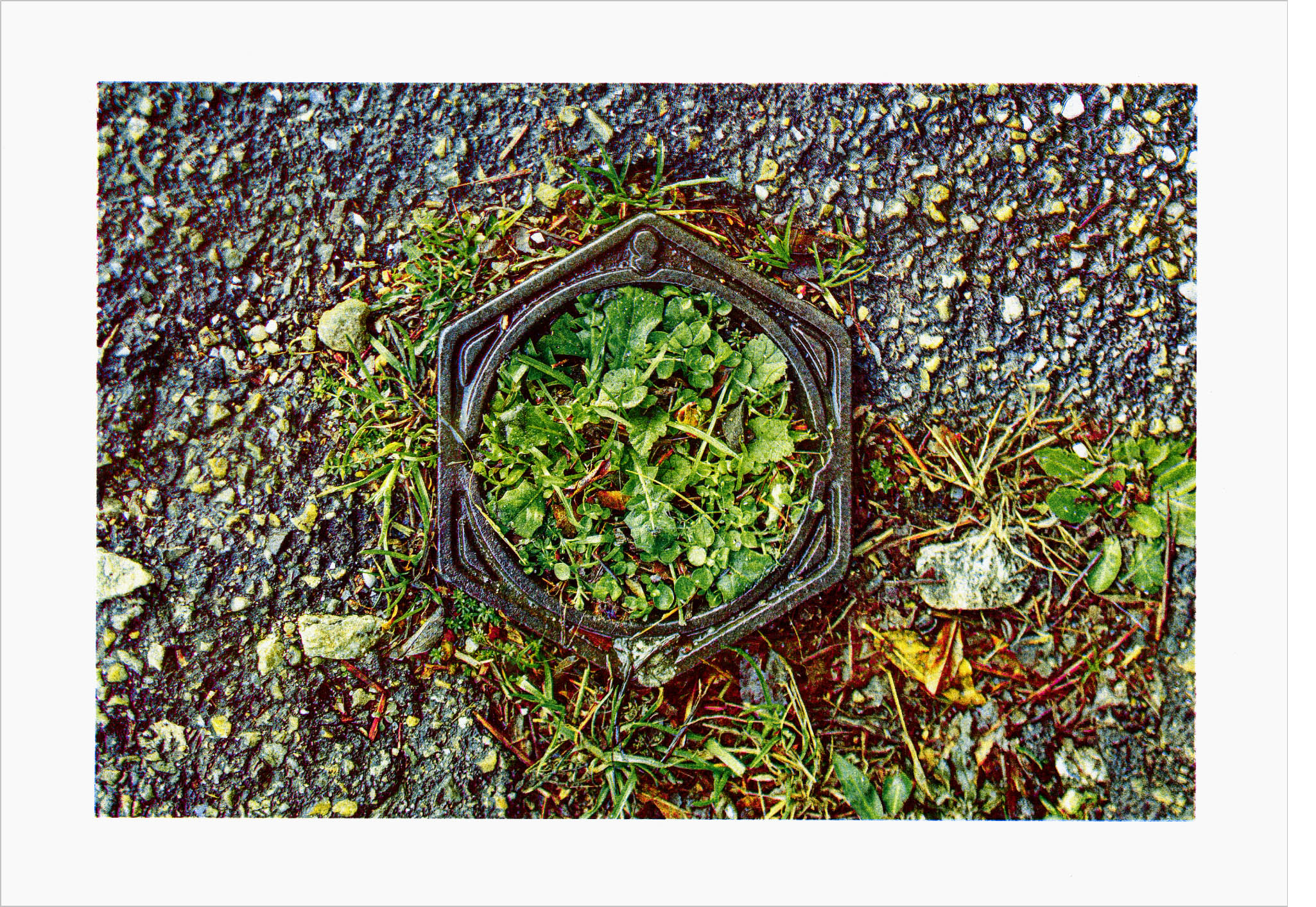 Scan d'une impression en risographie quatre couleurs d'une photographie de François Decobecq