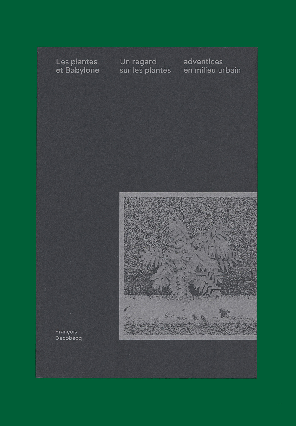 Les plantes et Babylone