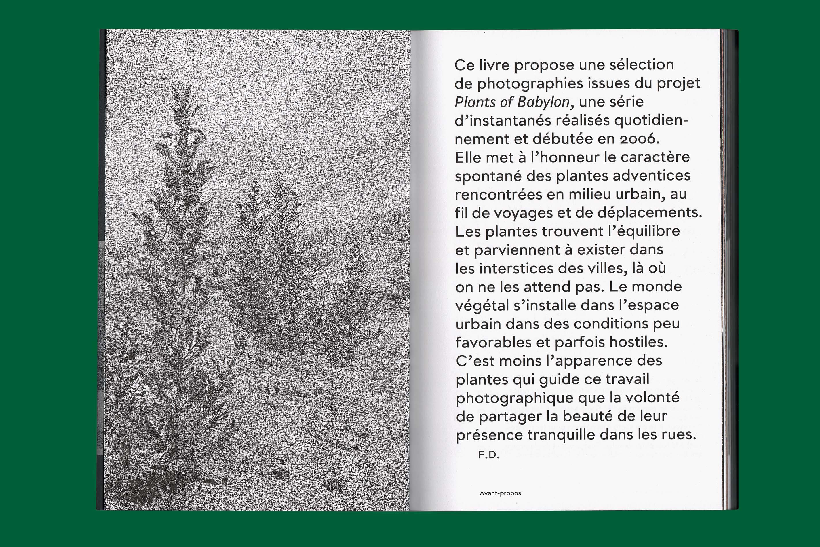 Livre de photos «Les plantes et Babylone»