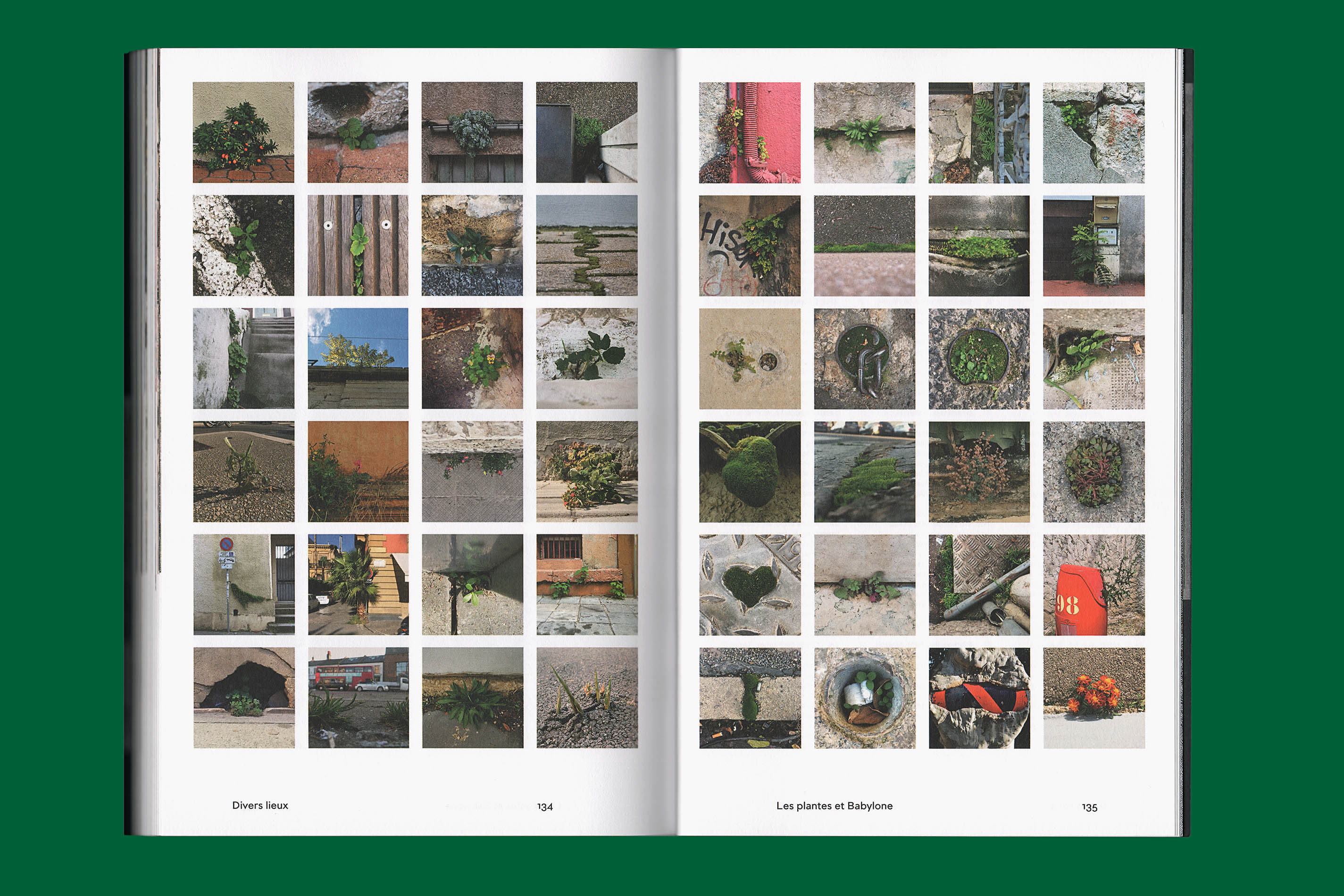 Livre de photos «Les plantes et Babylone»