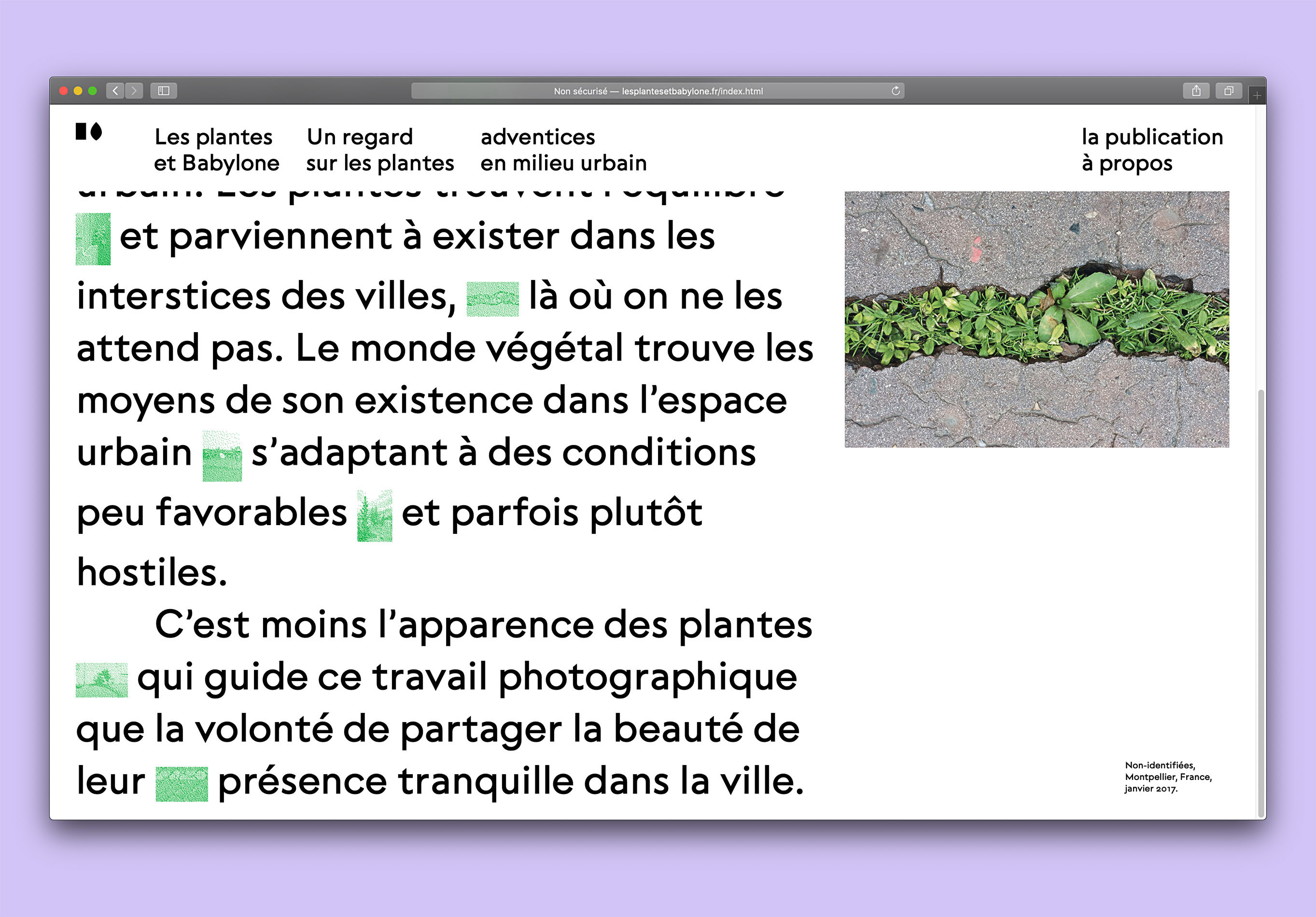 Livre de photos «Les plantes et Babylone»